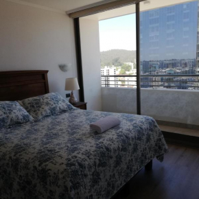 Departamento Freire 1062